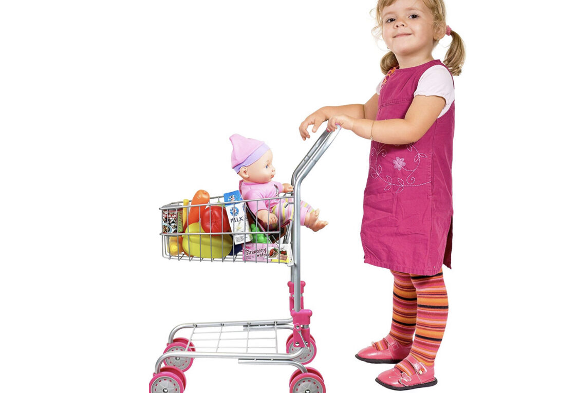 1498 Pretend Play Shopping Cart With Groceries The Coupon Thang 7381